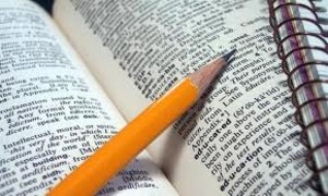 Imagen de Coaching VIP Personalizado CEAE- Comunicación Escrita (Redacción) Altamente Efectiva (en modalidad virtual)
